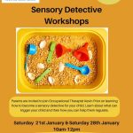 Sensory Seeker Course