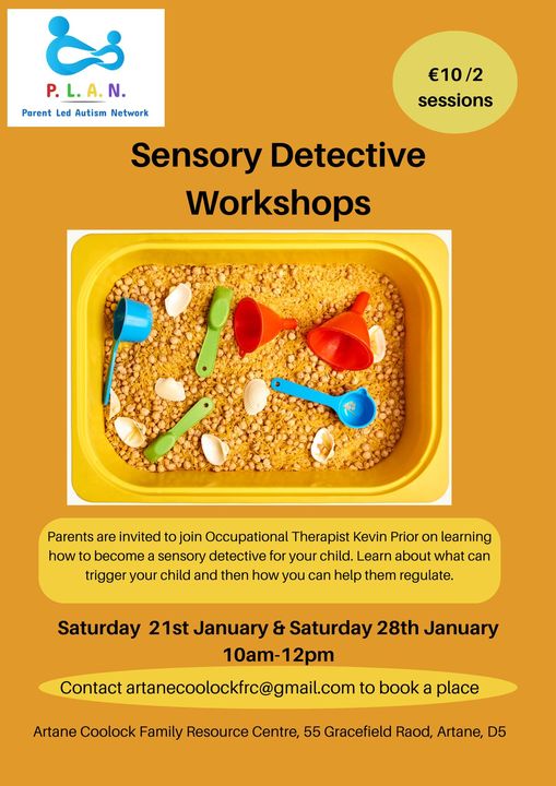 Read more about the article Sensory Seeker Course